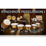 Vienna Symphonic Library Synchron Percussion I Standard Library 