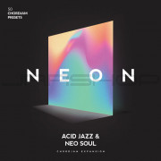 Audiomodern NEON Chordjam Expansion Pack