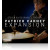 Steven Slate Drums Patrick Carney SSD/Trigger Expansion Bundle