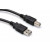 Hosa USB-215AB High Speed USB Cable, Type A to Type B, 15 ft