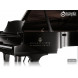 Acousticsamples AcademicGrand Steinway D Piano Library