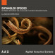 AAS Entangled Species for String Studio