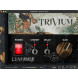 Bogren Digital Trivium Ampknob Lead