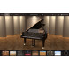 IK Multimedia Pianoverse Hamburg Grand S274