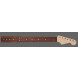 Warmoth SN19268 Stratocaster Maple Neck with Pau Ferro Fretboard