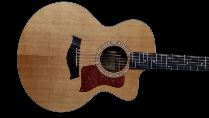 taylor 355ce 12 string